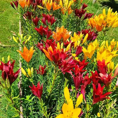ホームステイ Genissieux, Vue Sur Vercors
