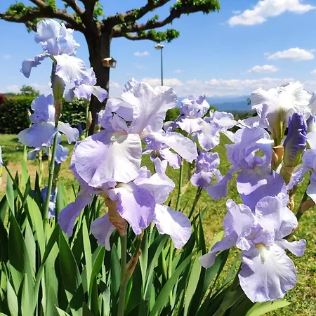 ホームステイ Genissieux, Vue Sur Vercors Génissieux
